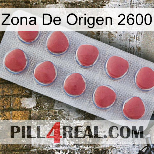 Home Zone 2600 18.jpg